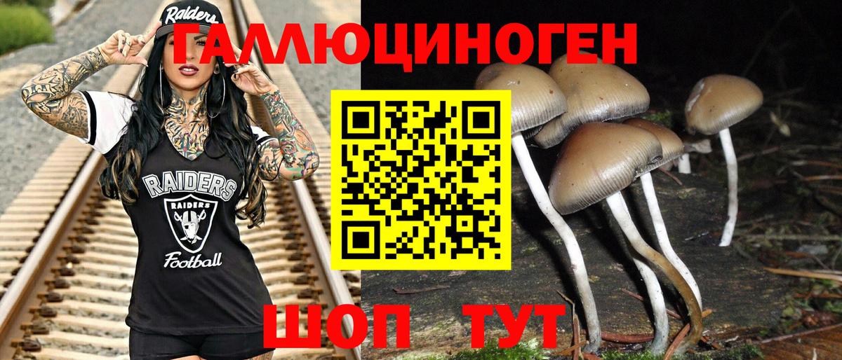 Галлюциногенные грибы Magic Shrooms  Галлюциногенные грибы Psilocybine cubensis  Новодвинск  Вход с VPN 