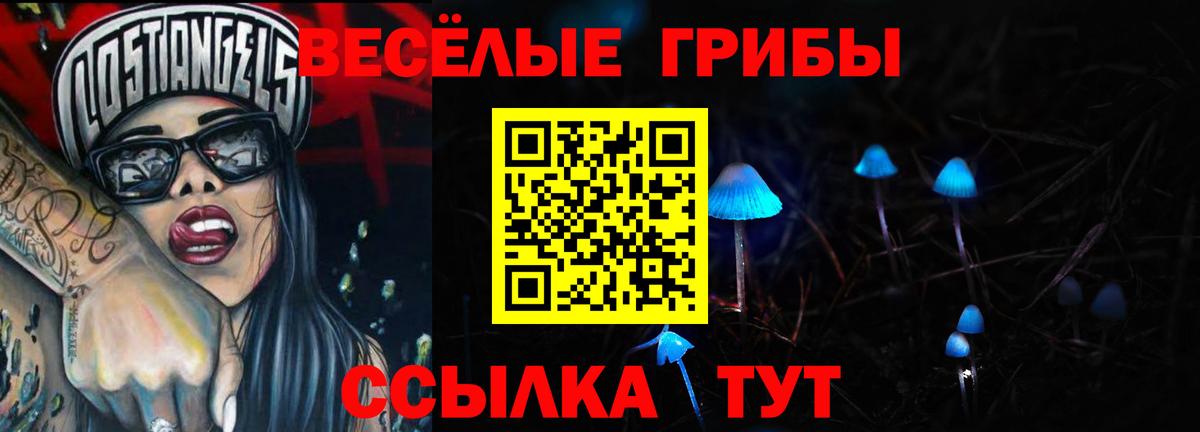 Галлюциногенные грибы мухоморы Новодвинск