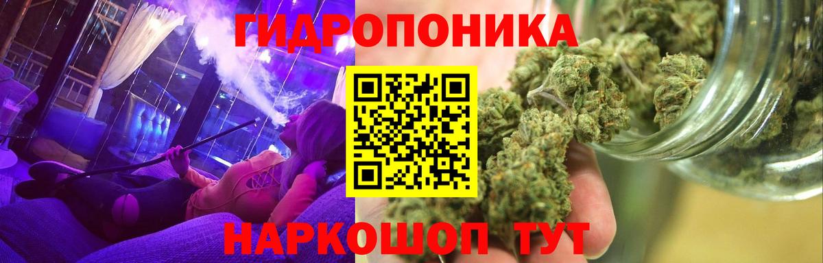 Конопля план Новодвинск